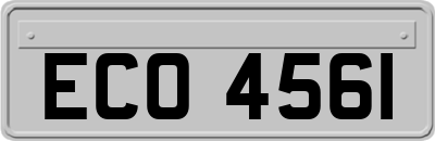 ECO4561