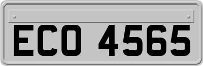 ECO4565