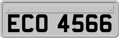 ECO4566