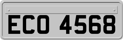 ECO4568