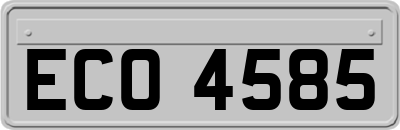 ECO4585