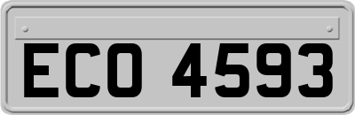 ECO4593