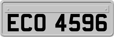 ECO4596