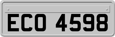 ECO4598