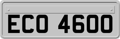 ECO4600