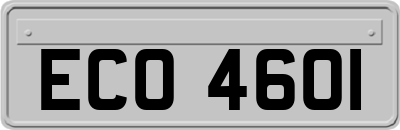 ECO4601