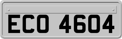 ECO4604