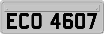 ECO4607