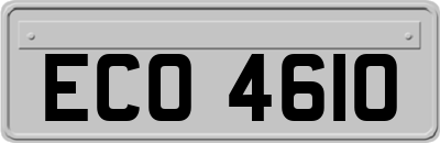 ECO4610
