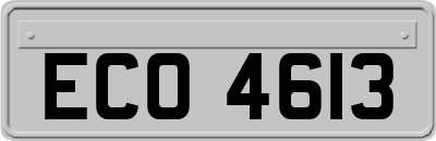 ECO4613