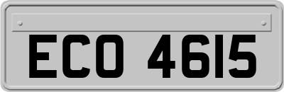 ECO4615