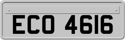 ECO4616