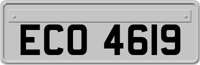 ECO4619