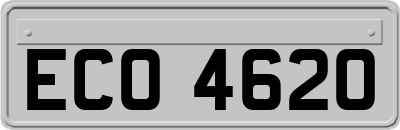 ECO4620
