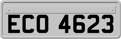 ECO4623