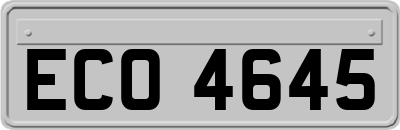 ECO4645