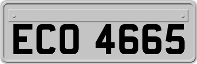 ECO4665