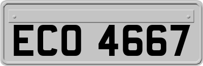 ECO4667