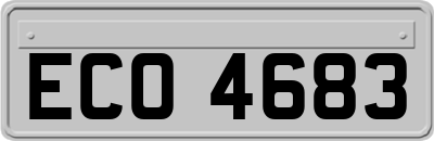 ECO4683