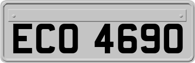 ECO4690
