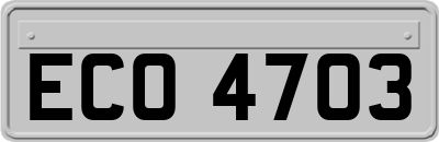 ECO4703