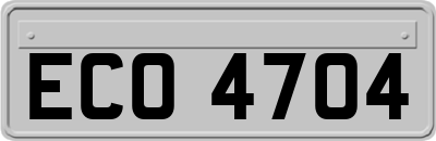 ECO4704