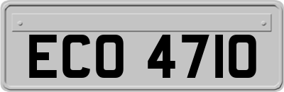 ECO4710