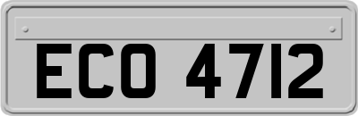 ECO4712