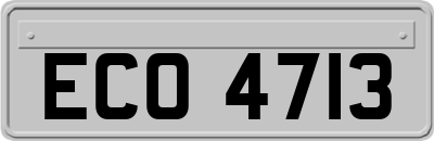 ECO4713
