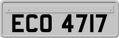 ECO4717
