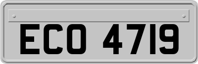ECO4719