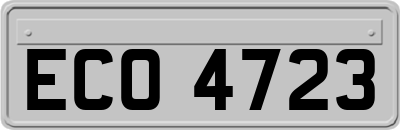 ECO4723
