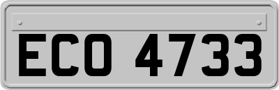 ECO4733