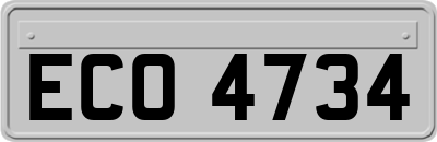 ECO4734
