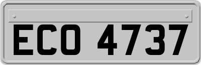 ECO4737