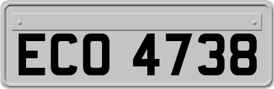 ECO4738