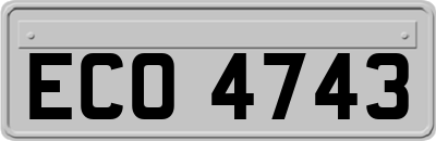 ECO4743
