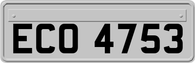 ECO4753