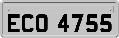ECO4755