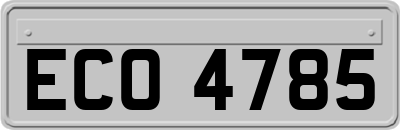 ECO4785