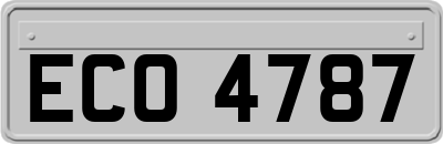 ECO4787