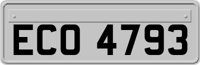 ECO4793