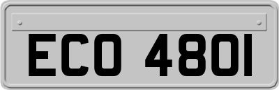ECO4801