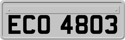 ECO4803