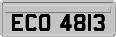 ECO4813