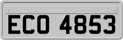 ECO4853