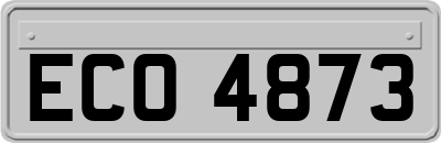 ECO4873