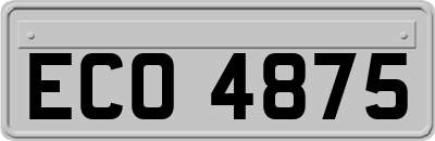 ECO4875