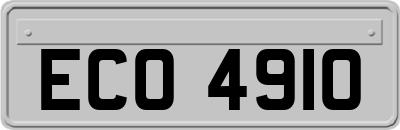 ECO4910