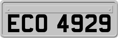 ECO4929